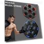 Smart Musical Boxing Trainer — Boxing Training Gear, GYROBALL