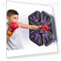Smart Musical Boxing Trainer — Home Gyms, Vinde Home