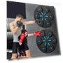 Smart Musical Boxing Trainer — Boxing Training Gear, GYROBALL