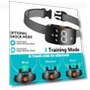 Anti-Bark Collar for Medium and Large Dogs — Anti-Bark Training Devices, Seahorse Home
