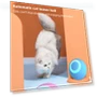 Automatic Moving, Jumping, Rolling Cat Toys with LED Lights — Cat Playthings, Rainbow Rain