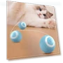 Interactive Cat Ball — Balls, DC-Home-2