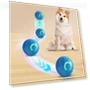 Rolling Ball for Pets with LED Lighting — Balls, Outdeer