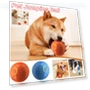 Smart Cat Toy with Rolling Ball — Cat Playthings, GYROBALL