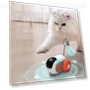 Smart Running Car Remote Control Electric Cat Toy — Cat Playthings, Seahorse Home