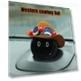 Decorative Car Central Console Ornament — Car Antenna Decorations, Auto Launcher