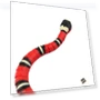Interactive Cat Toy — Interactive Animal Companions, Automobile and motorcycle supplies