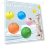 Interactive Pet Ball — Balls, Dainty