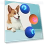 LED Light Up Jump Ball — Cat Playthings, Fashion Accessory