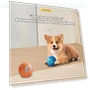 LED Pet Rolling Ball — Balls, Health Care For U