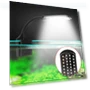 Aquarium LED Clip Light — Lights, Xudikou