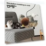 Interactive Cat Toy — Cat Playthings, Kitty Cat House