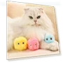 Interactive Smart Ball Toy for Cats — Cat Playthings, Love Home Garden