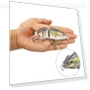 Robotic Swimming Lures — Artificial Bait, Wrigleys