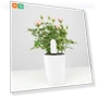 Smart Monitor — Pregnancy Health Monitors, Xiaomi