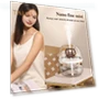 Air Humidifier for Bedroom — Air Moisturizers, Blissful Living