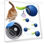 Automatic Moving Cat Toy Ball — Cat Playthings, Chic Home