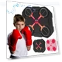 Bluetooth Smart LED Boxing Training Target — Boxing Training Gear, charman