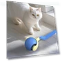 Interactive Cat Toy Ball — Cat Playthings, CT Toy