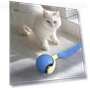 Interactive Cat Toy Ball — Cat Playthings, Pet park