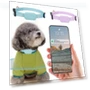 Mini GPS Tracker Dog Collar — Trackers, Chic Home