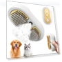 3-in-1 Electric Pet Grooming Brush with Water Tank — Brushes, Smart Pet Supplies