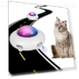 Automatic Cat Toy with Replaceable Feathers — Cat Playthings, Smart Pet Supplies