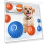 Automatic Moving Jumping Electronic Rolling Smart Ball — Automatic Launchers, JINGYUE Pet