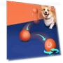 Automatic Moving Jumping Pet Toy Ball — Interactive Animal Companions, JINGYUE Pet