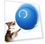 Automatic Moving, Jumping, Rolling Smart Ball — Automatic Launchers, Smart Pet Supplies