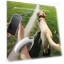 Automatic Retractable Dog Leash — Training Leads, Smart Pet Supplies