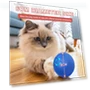 Automatic Rolling Ball Cat Toy — Cat Playthings, Smart Pet Supplies