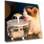 Automatic Water Fountain for Cats and Dogs — Fountains, Melcke
