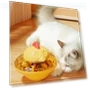 Cat Food Dispenser with Chicken Shaped Puzzle Toy — Cat Playthings, Smart Pet Supplies