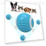 Electric Cat Ball Toy — Cat Playthings, Smart Pet Supplies