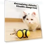 Electric Teasing Stick Cat Toy — Cat Playthings, Smart Pet Supplies