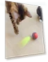 Interactive Cat Ball — Cat Playthings, Koomi Global