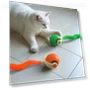 Interactive Cat Toy Ball — Cat Playthings, All in Watch