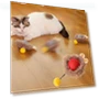 Interactive Cat Toy Ball — Cat Playthings, JINGYUE Pet