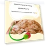 Interactive Cat Toy USB Electric Intelligent Rolling Ball — Cat Playthings, Smart Pet Supplies