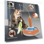 Interactive Cat Toy — Cat Playthings, Smart Pet Supplies