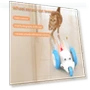 Interactive Cat Toy — Mice & Animals, Smart Pet Supplies