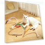 Interactive Dental Cotton Rope Toys — Cat Playthings, Smart Pet Supplies