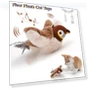 Interactive Flying Bird Toy for Cats — Cat Playthings, Pawstrip