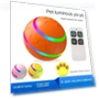 Interactive Pet Ball with Remote Control — Balls, Smart Pet Supplies