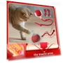 Interactive Pet Toy Ball — Cat Playthings, JINGYUE Pet