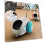 Interactive Remote Control Electric Toy for Cats and Puppies — Interactive Animal Companions, JINGYUE Pet