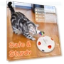 Interactive Smart Toy for Kittens — Interactive Animal Companions, Koomi Global