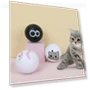 Interactive Training Ball for Kittens — Cat Playthings, Smart Pet Supplies