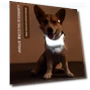 LED Dog Collar — Collars, Smart Pet Supplies